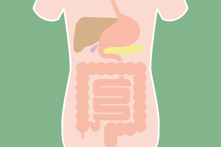 消化器内科とは